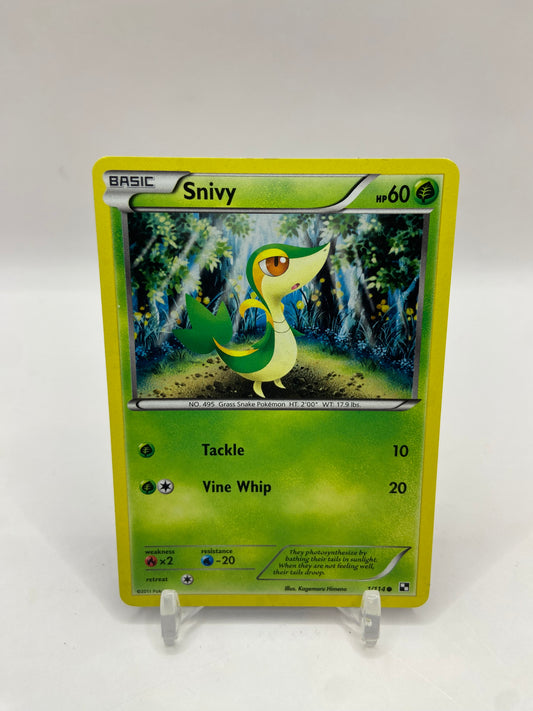 Snivy Holo Promo Cosmo 1/114