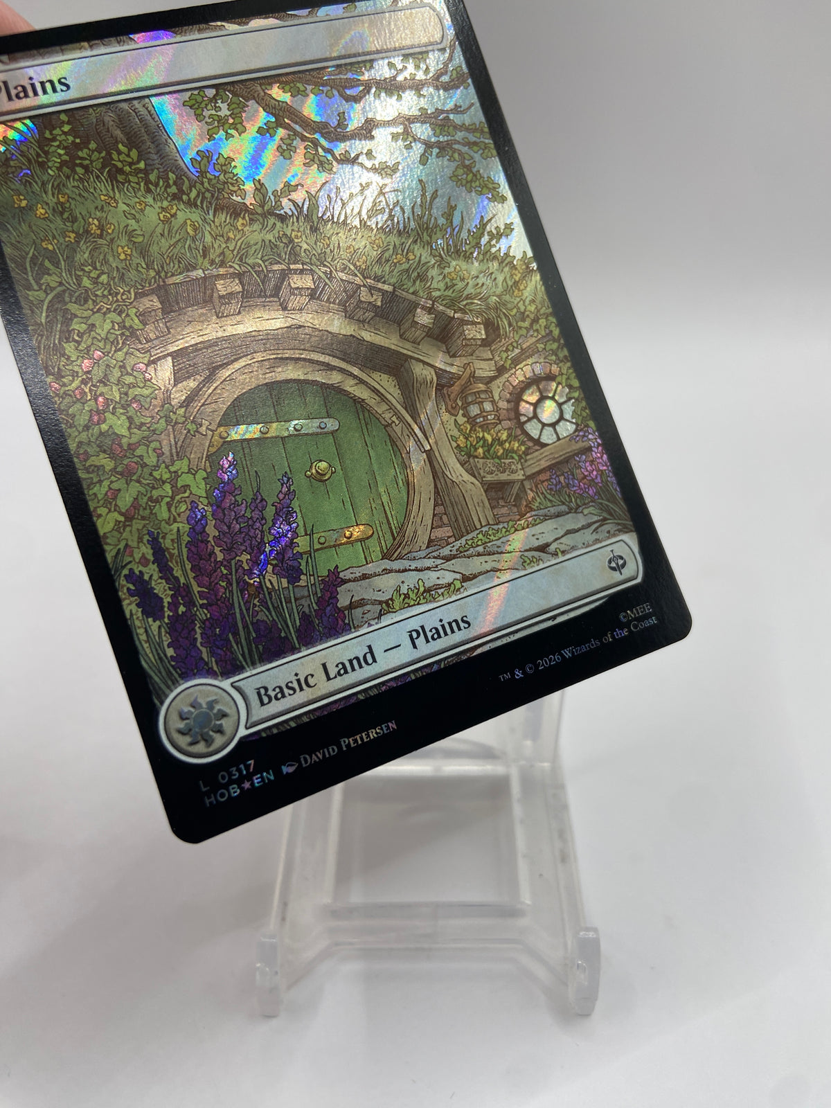 Plains (0317) (Surge Foil) The Hobbit L 317