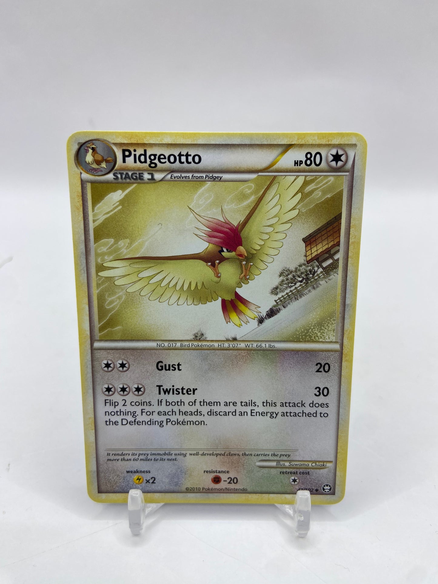 Pidgeotto HS Triumphant 47/102