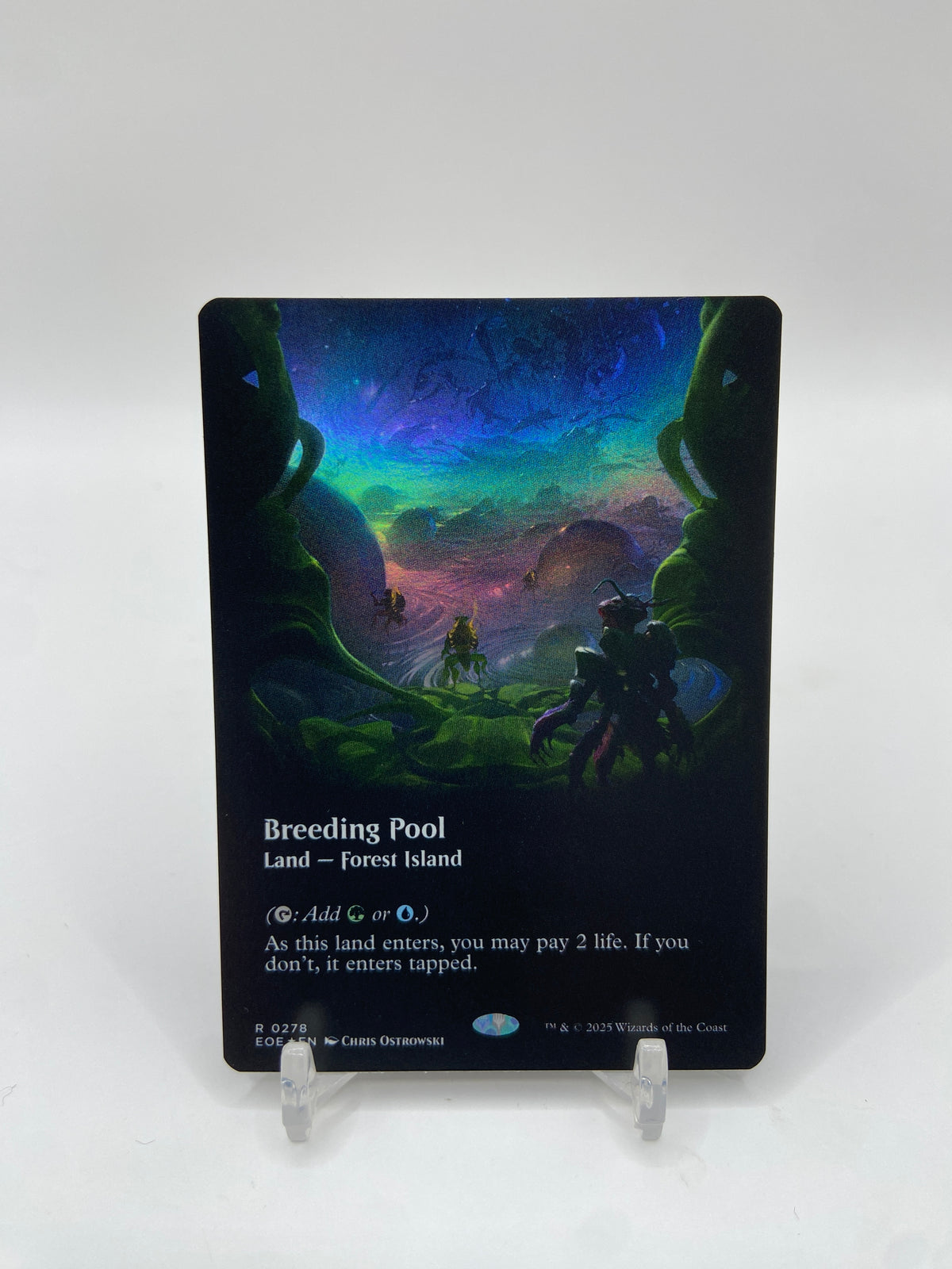 Breeding Pool Foil (Borderless) Edge of Eternities R 278