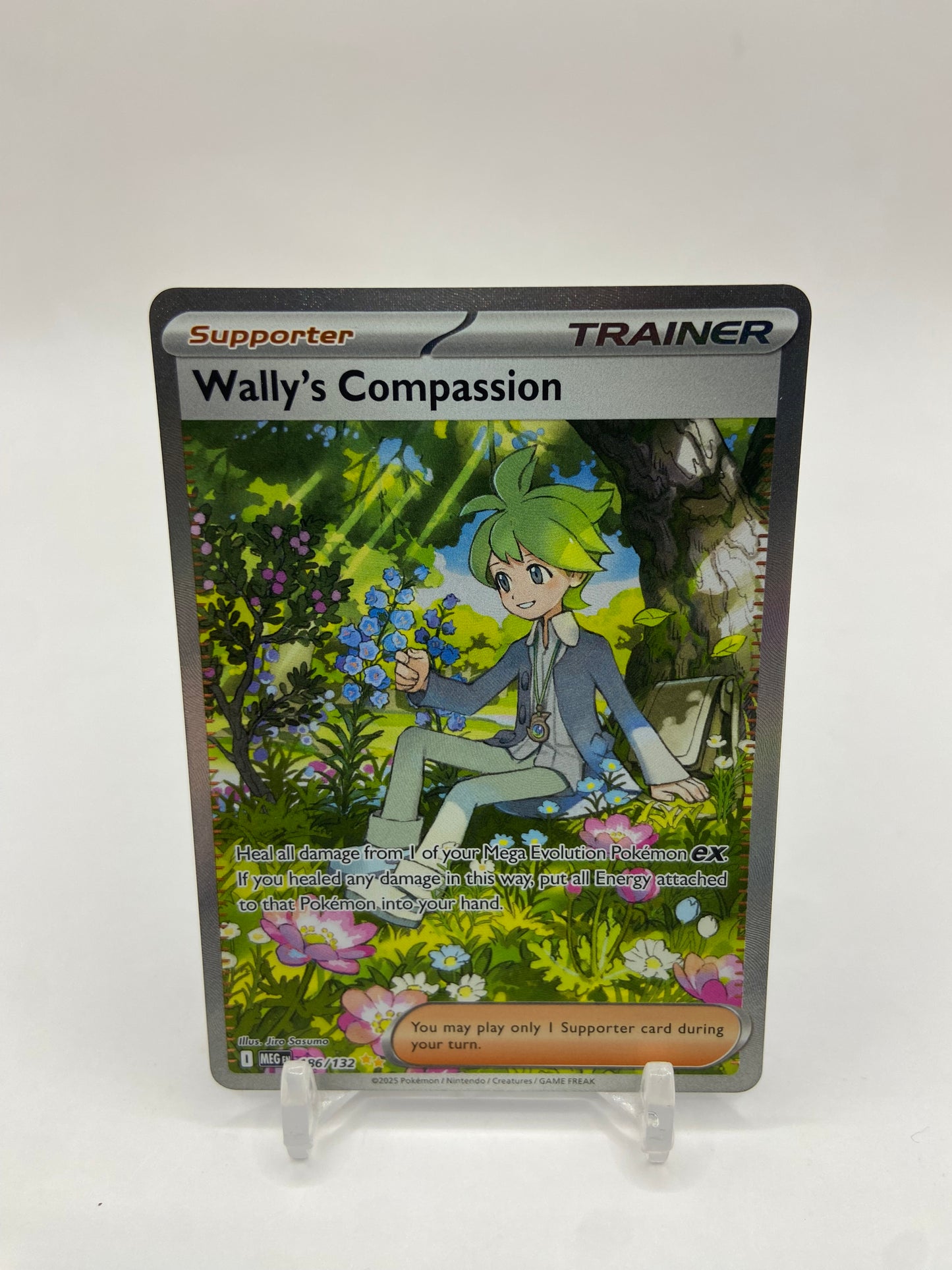 Wally's Compassion Alt Art Secret Rare Mega Evolutions 186/132