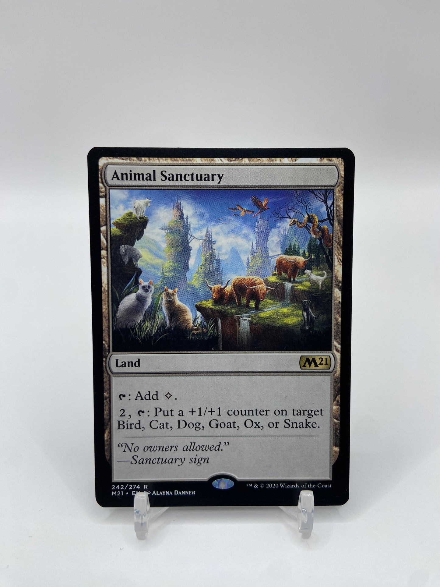 Animal Sanctuary Core Set 2021 R 242