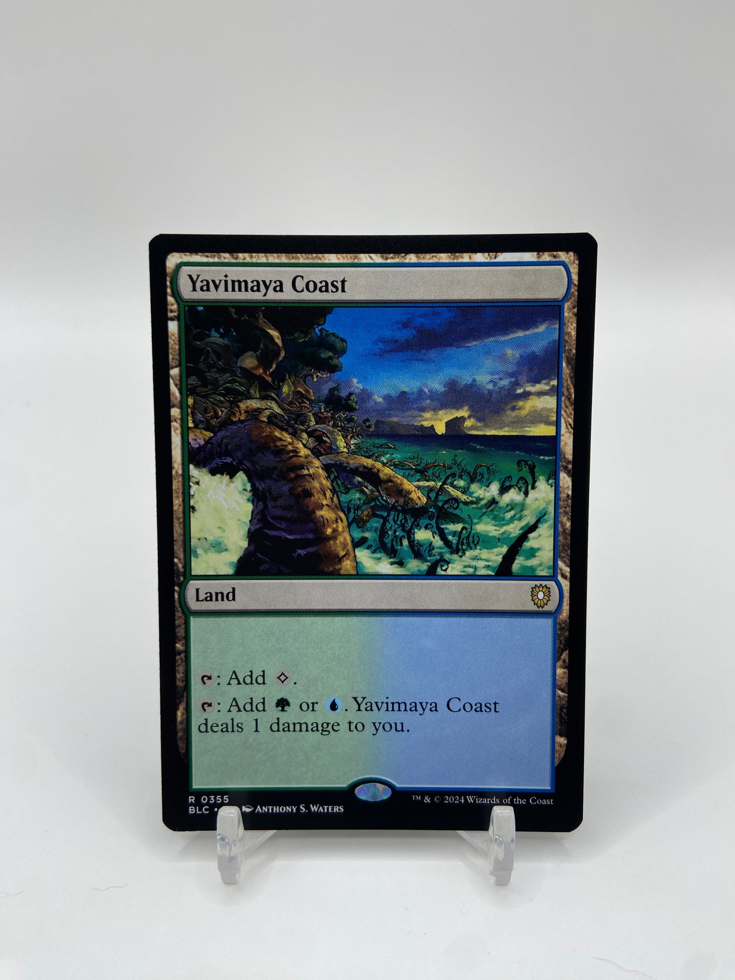 Yavimaya Coast Commander: Bloomburrow R 355