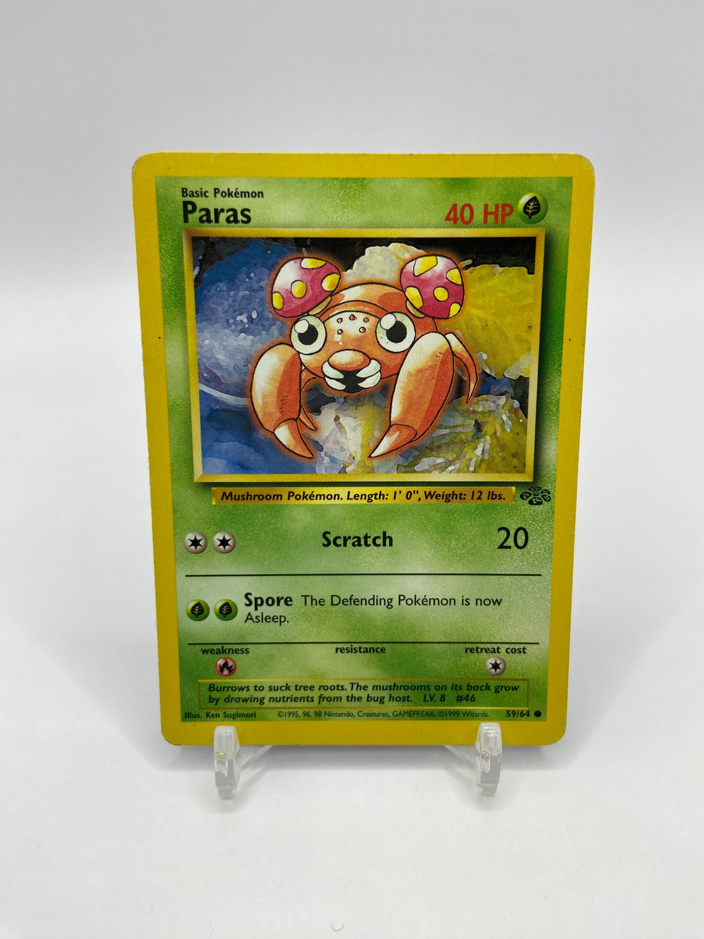 Paras Jungle Set 59/64