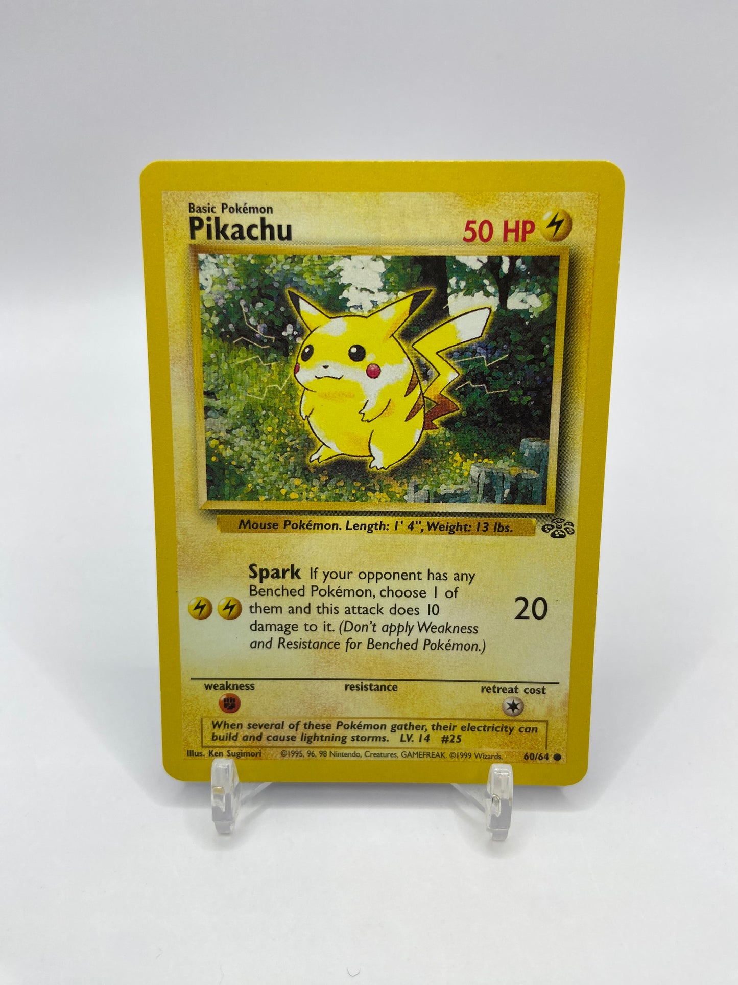 Pikachu Jungle Set 60/64