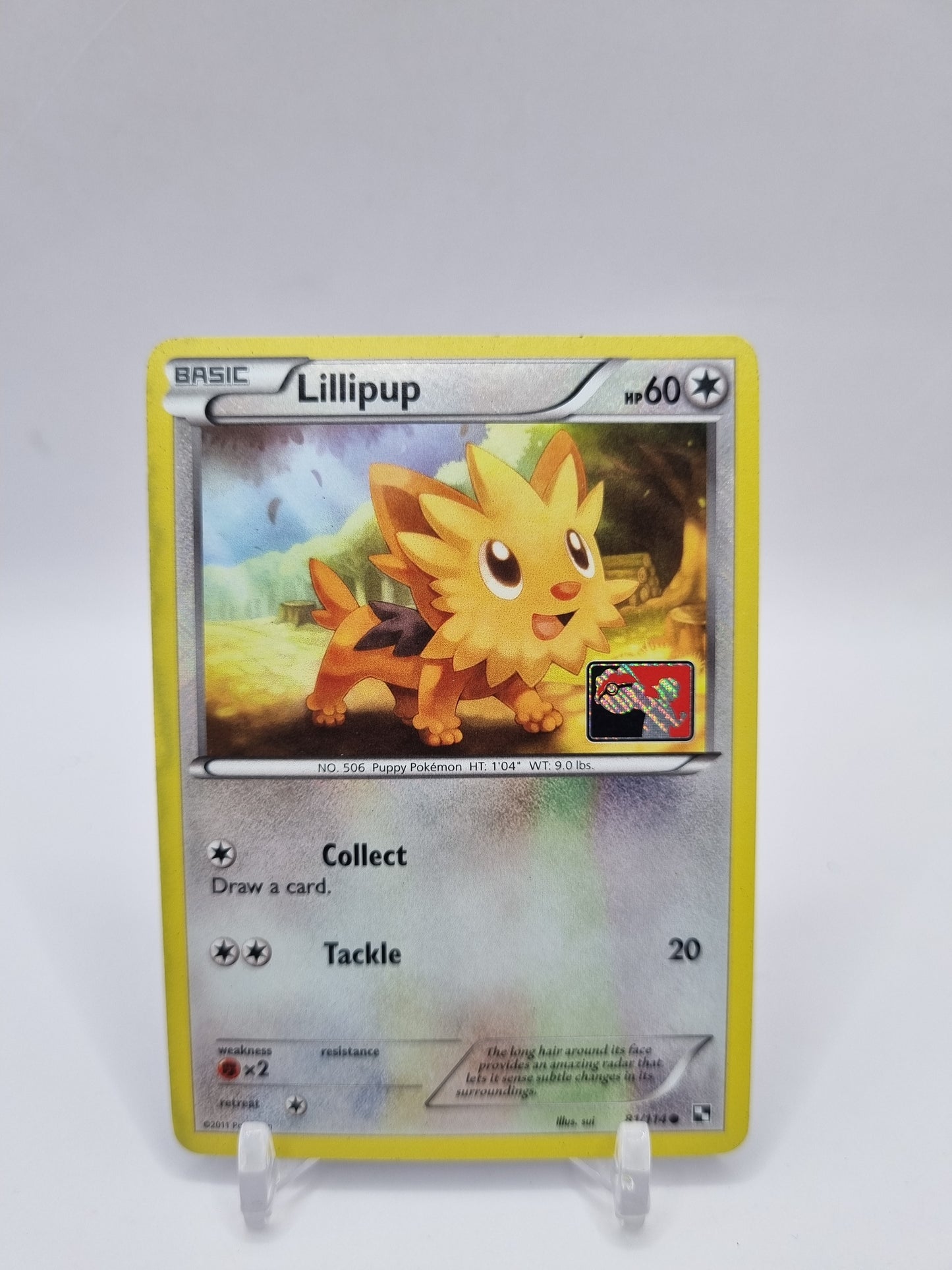 Lillipup Reverse Holo Pokemon League Promo 81/114