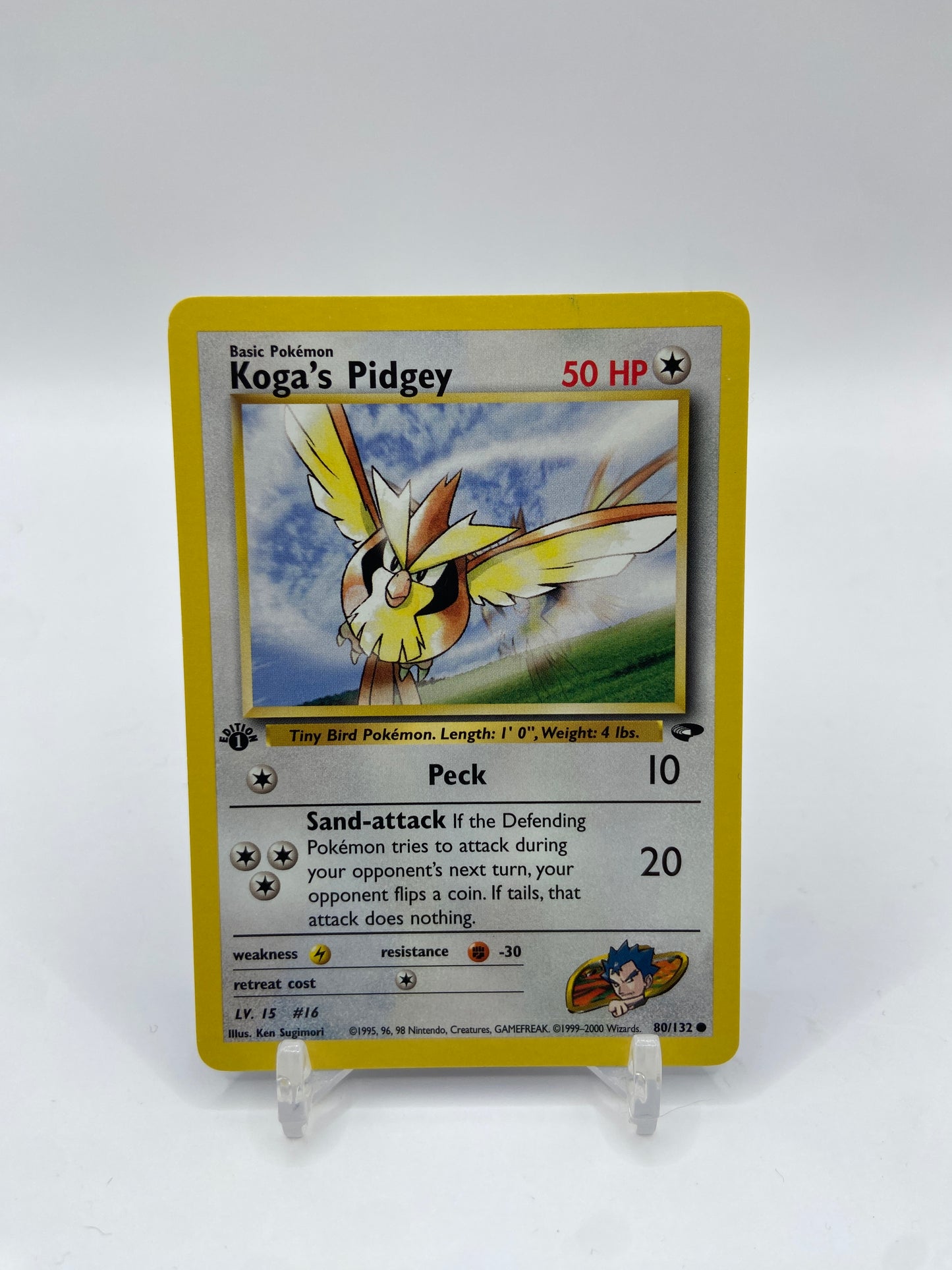 Koga's Pidgey 1st Edition Gym Challenge 80/132