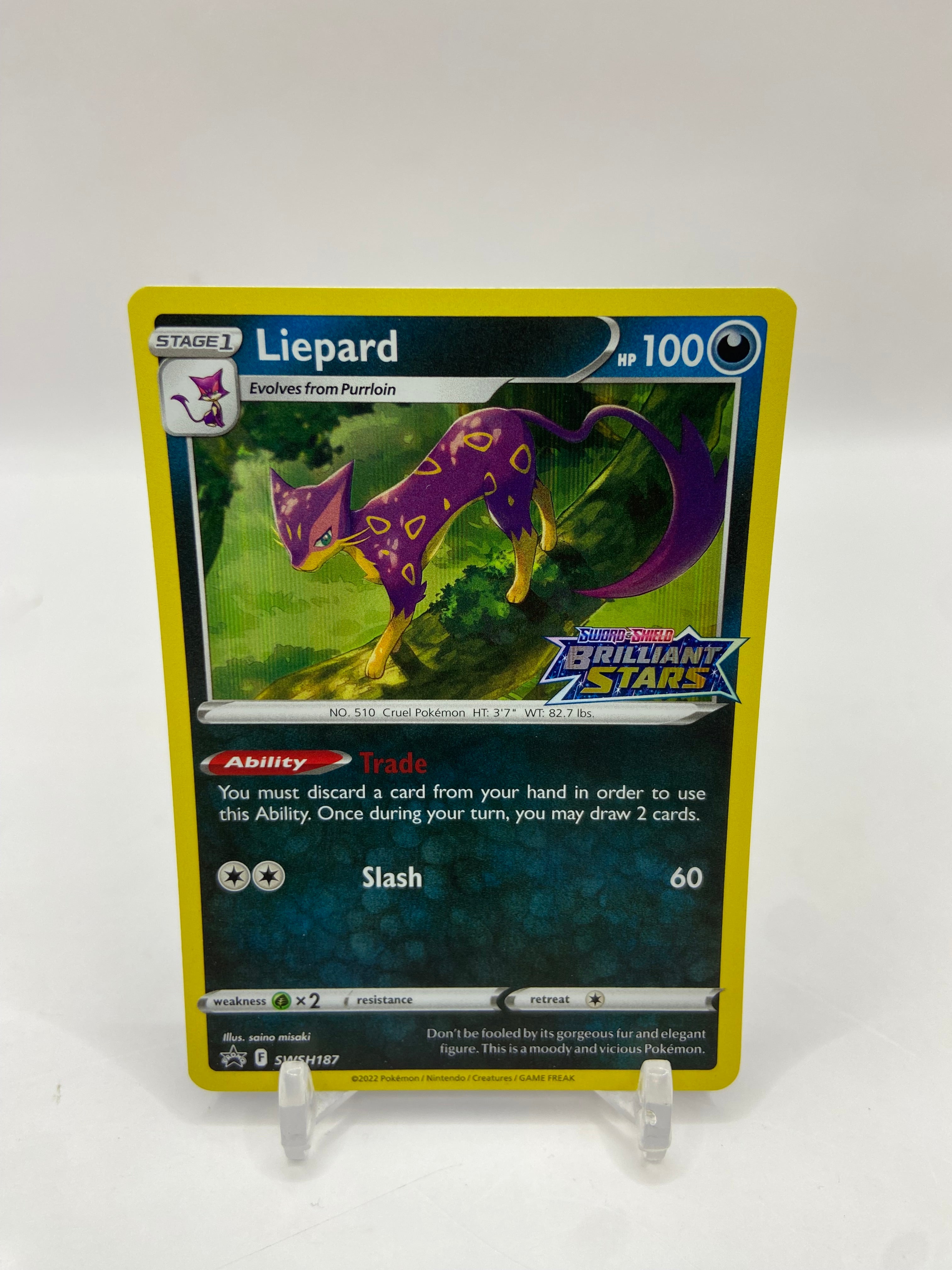 Promos – Arcticcollect