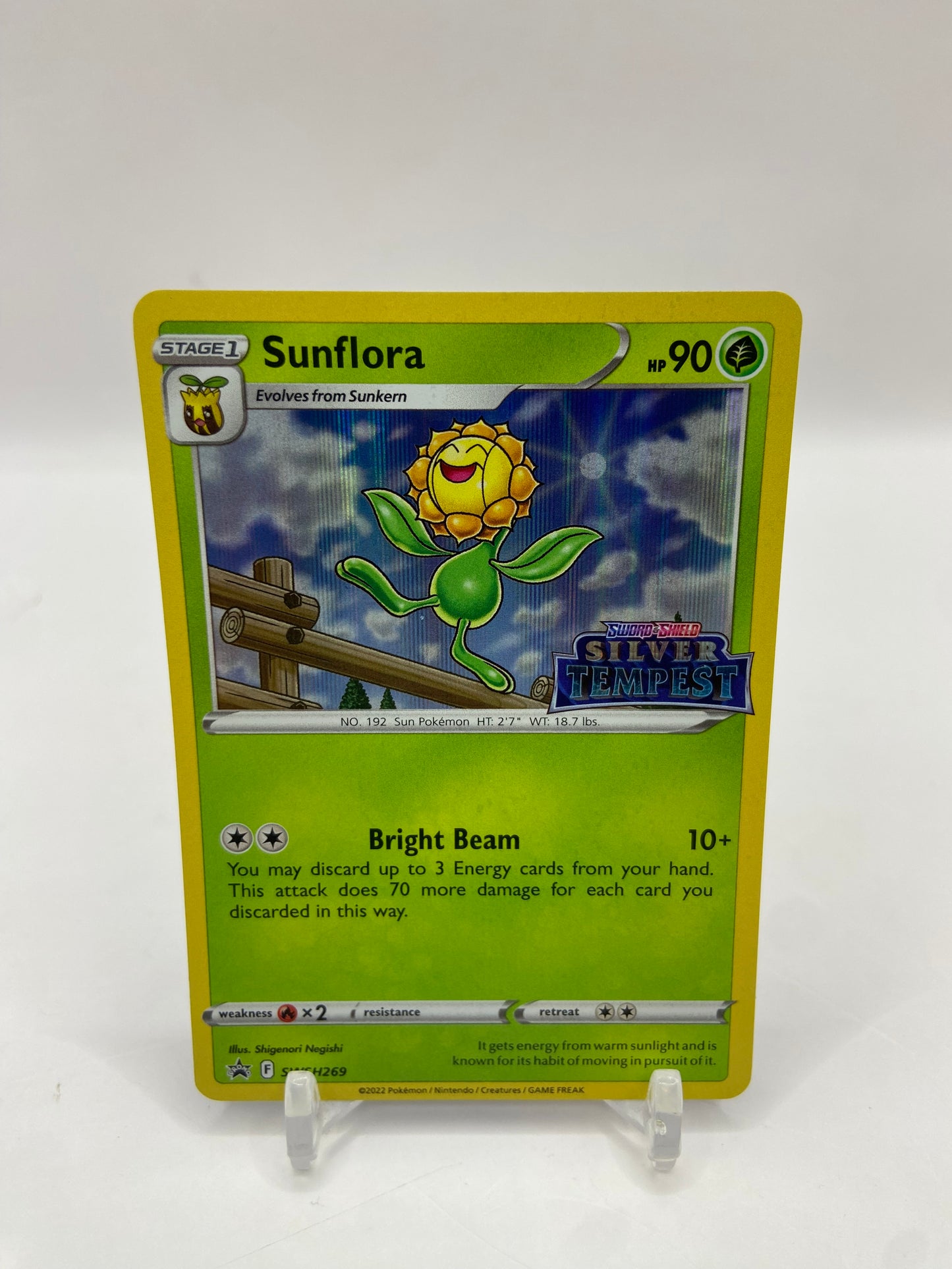 Sunflora Promo Silver Tempest Stamped SWSH269