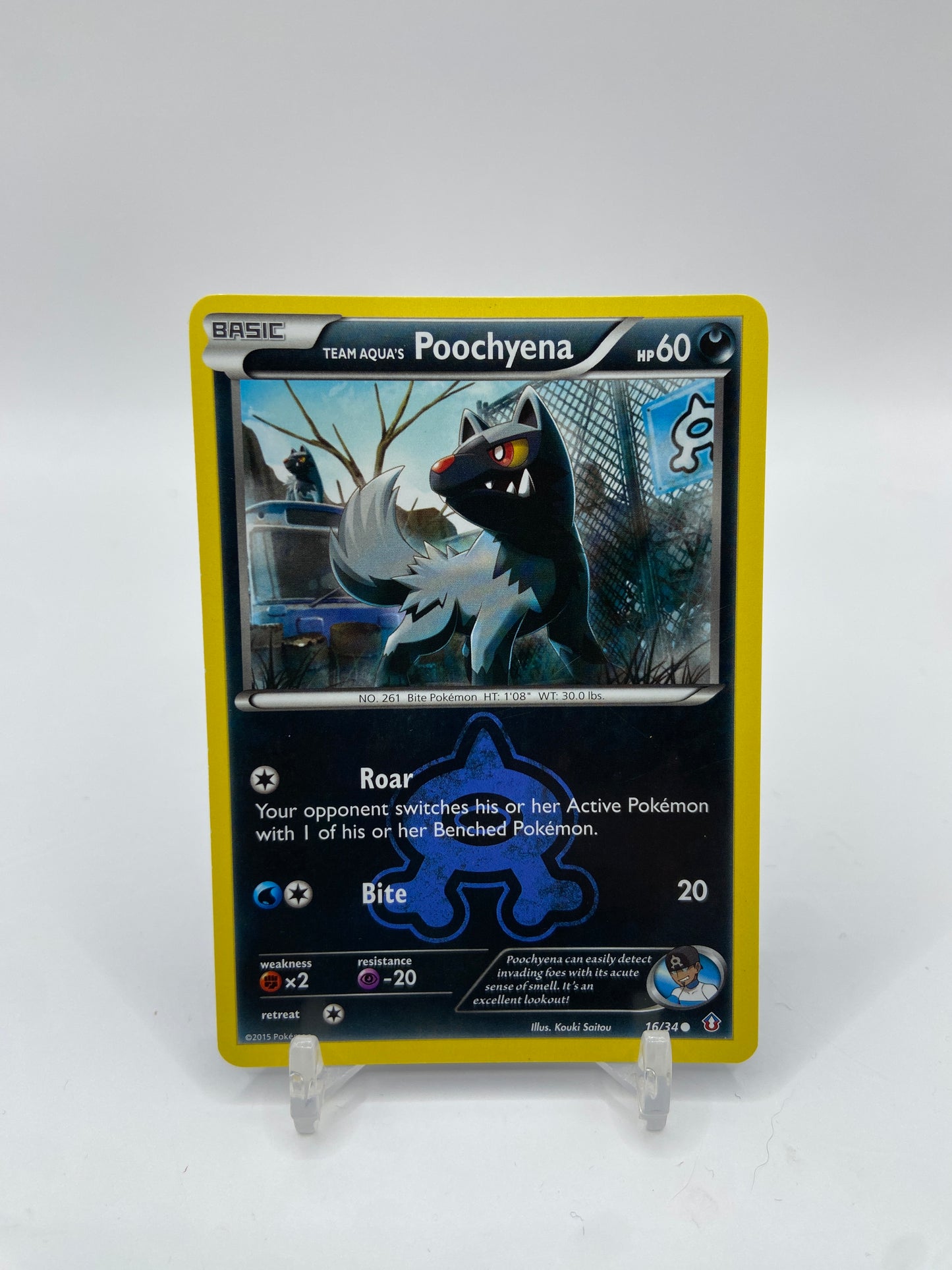 Team Aqua's Poochyena Double Crisis 16/34
