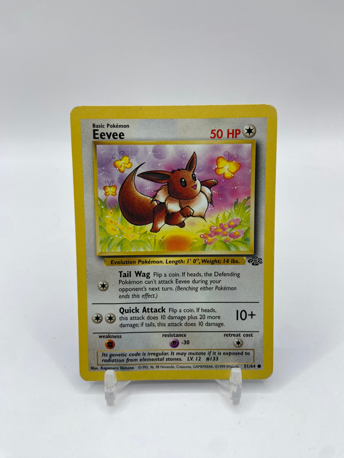 Eevee Jungle Set 51/64
