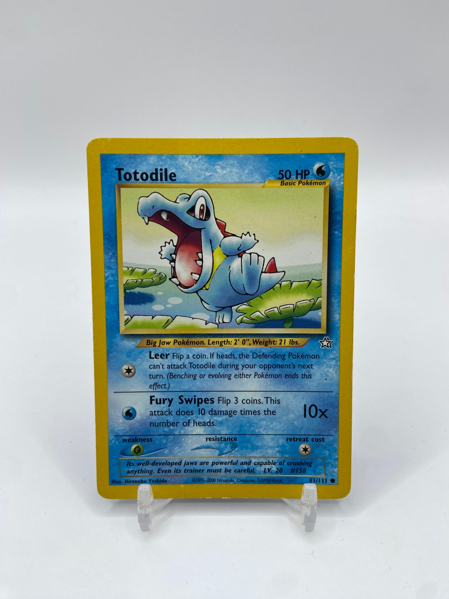 Totodile Neo Genesis 81/111