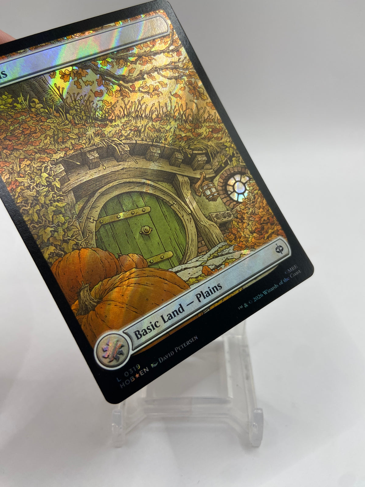 Plains (0319) (Surge Foil) The Hobbit L 319