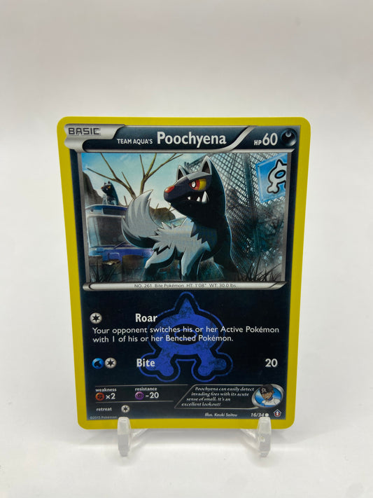 Team Aqua's Poochyena Double Crisis 16/34