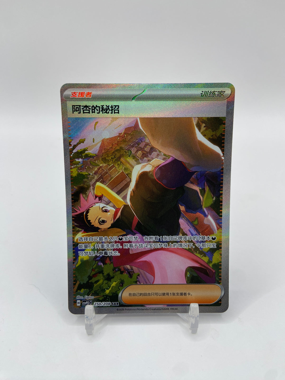 Janine's Secret Art (CN) Terastal Gathering 250/208