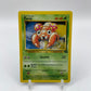 Paras Jungle Set 59/64