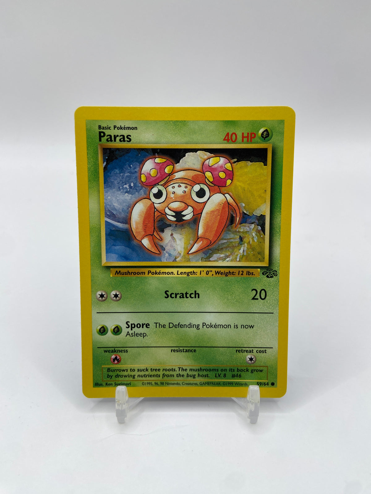 Paras Jungle Set 59/64