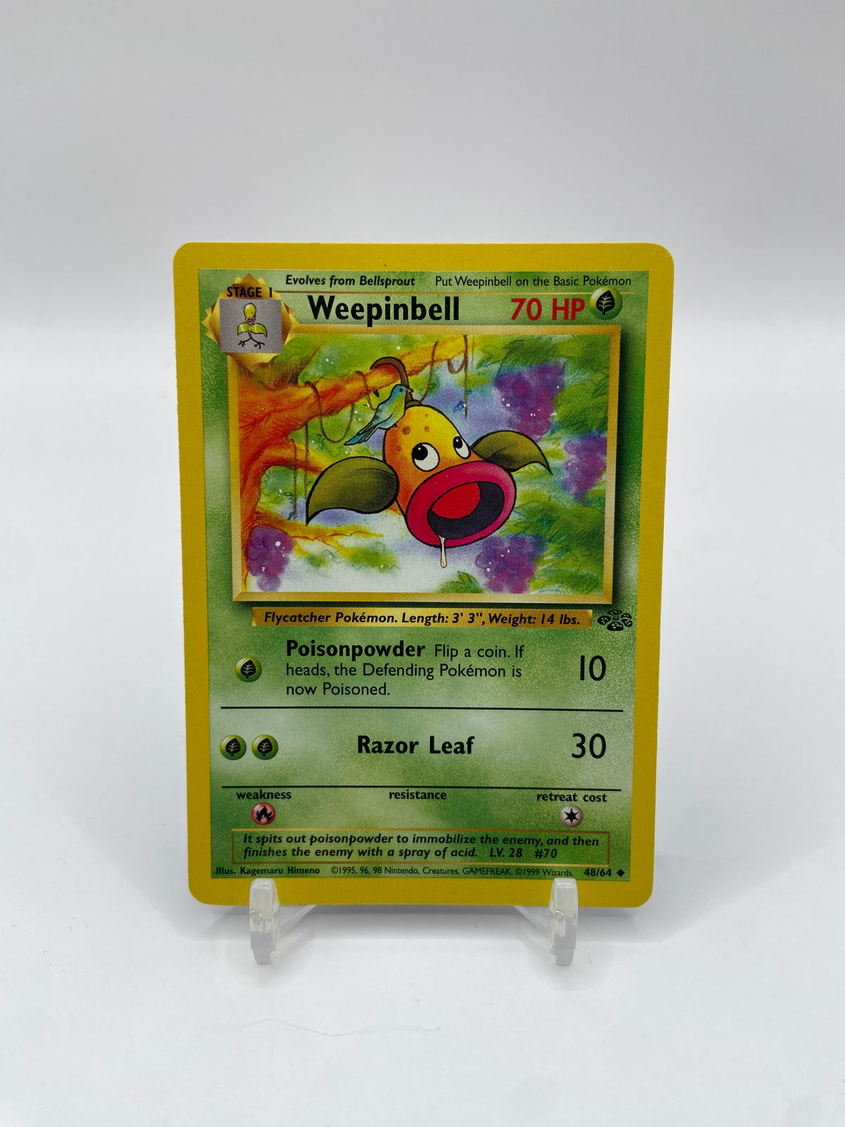 Weepinbell Jungle Set 48/64