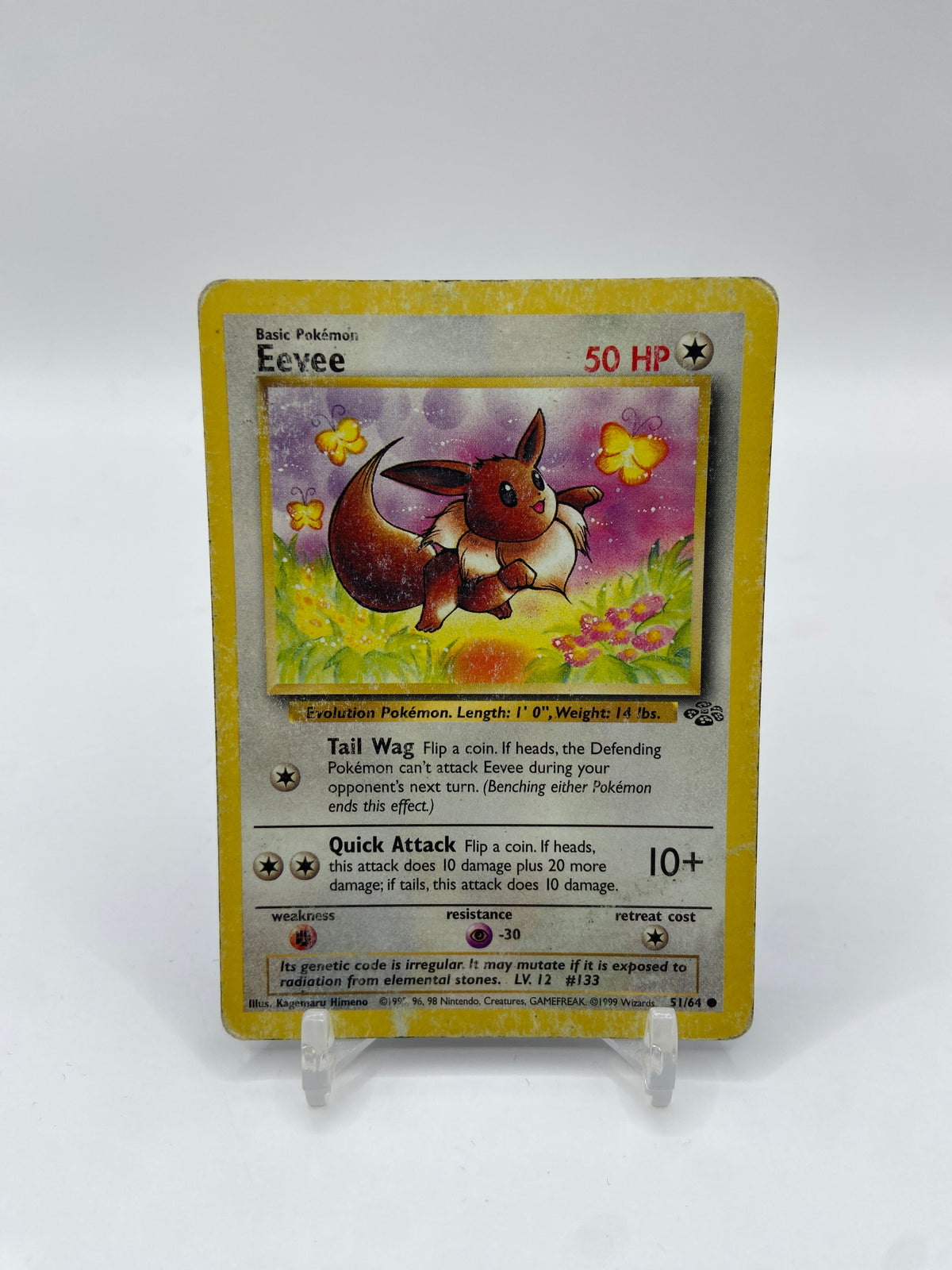 Eevee Jungle Set 51/64