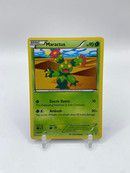 Maractus Plasma Storm 11/135