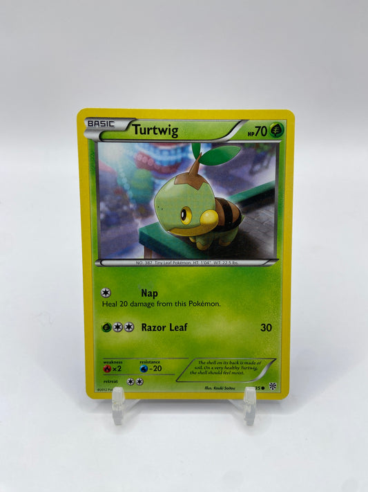 Turtwig Plasma Storm 1/135