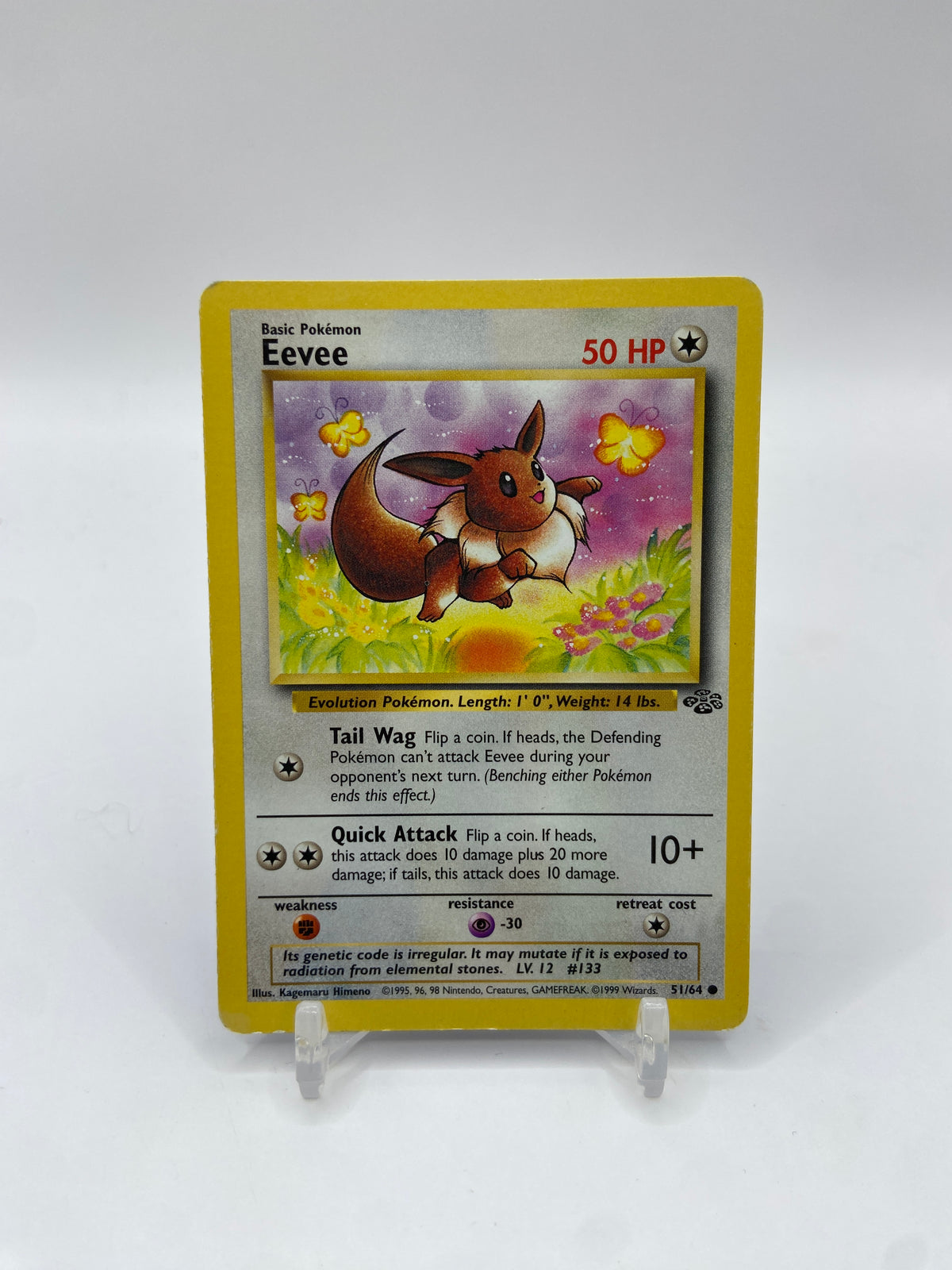 Eevee Jungle Set 51/64