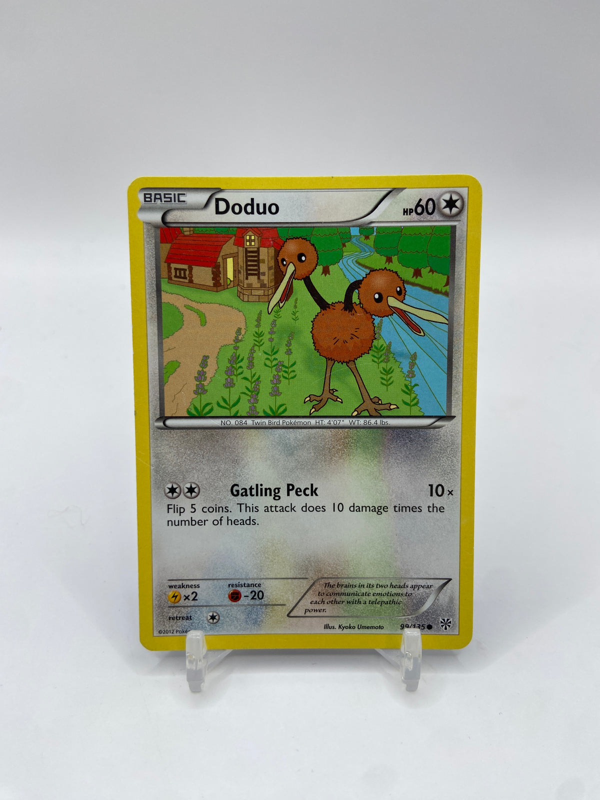 Doduo Plasma Storm 99/135