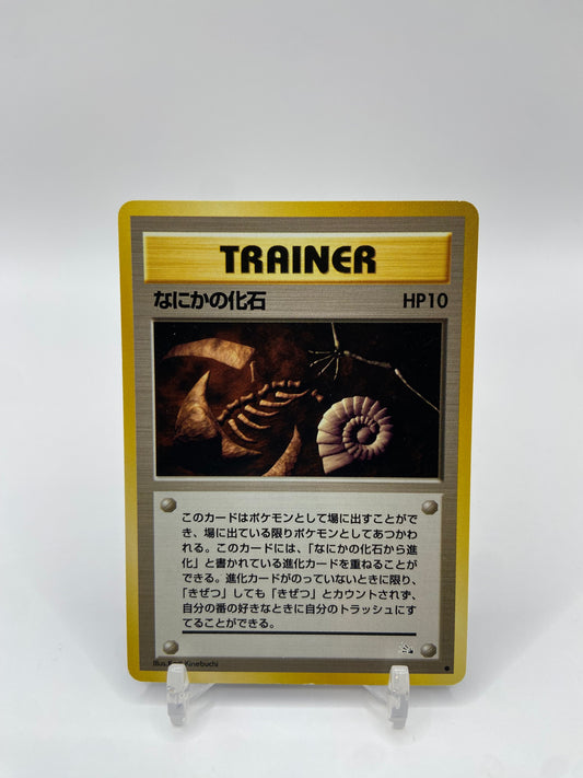 Mysterious Fossil Fossil Set Japanese
