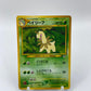 Bayleef Neo Premium File 1 Japanese