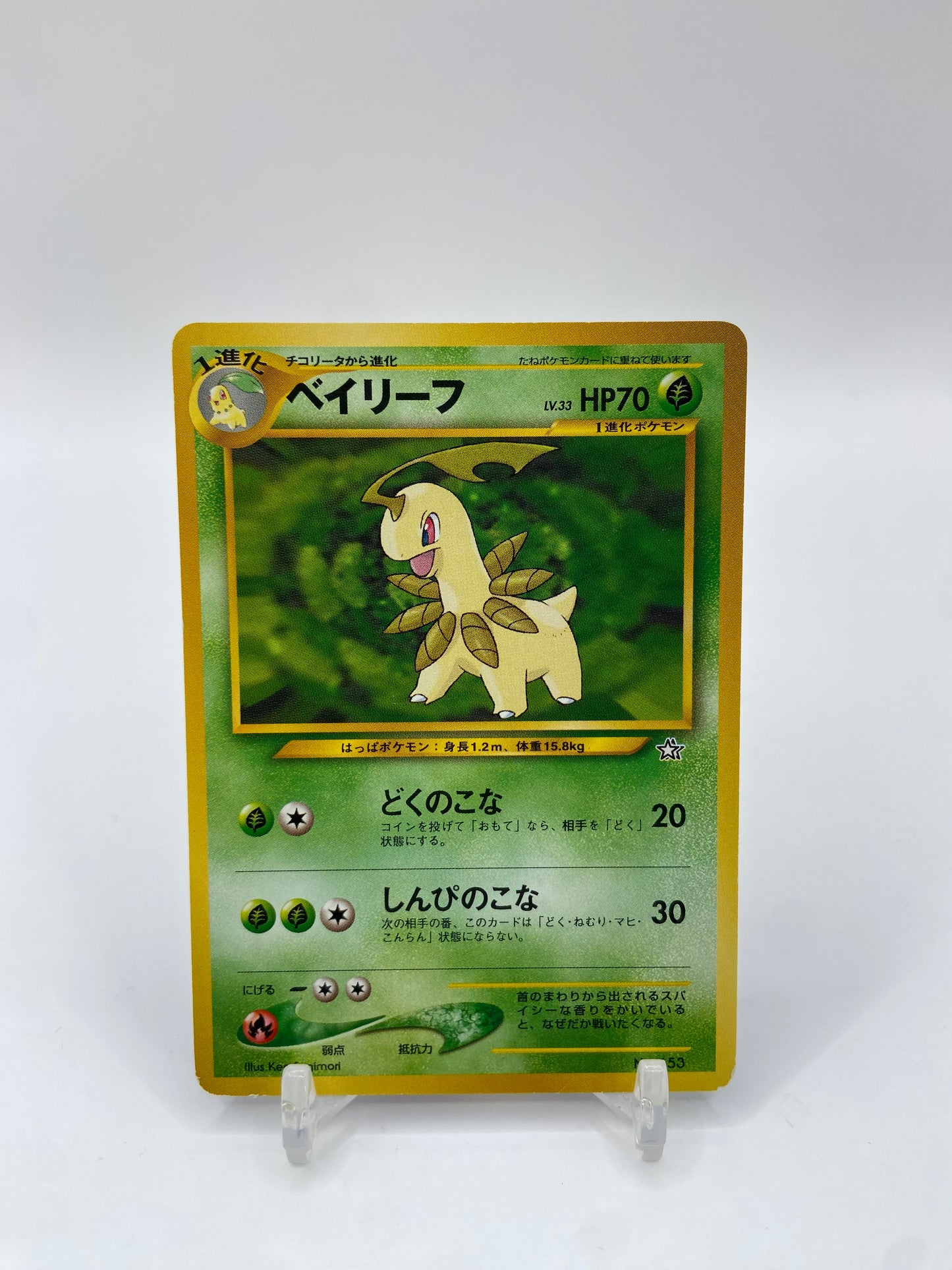 Bayleef Neo Premium File 1 Japanese