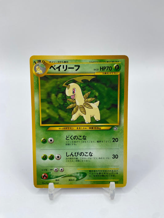 Bayleef Neo Premium File 1 Japanese