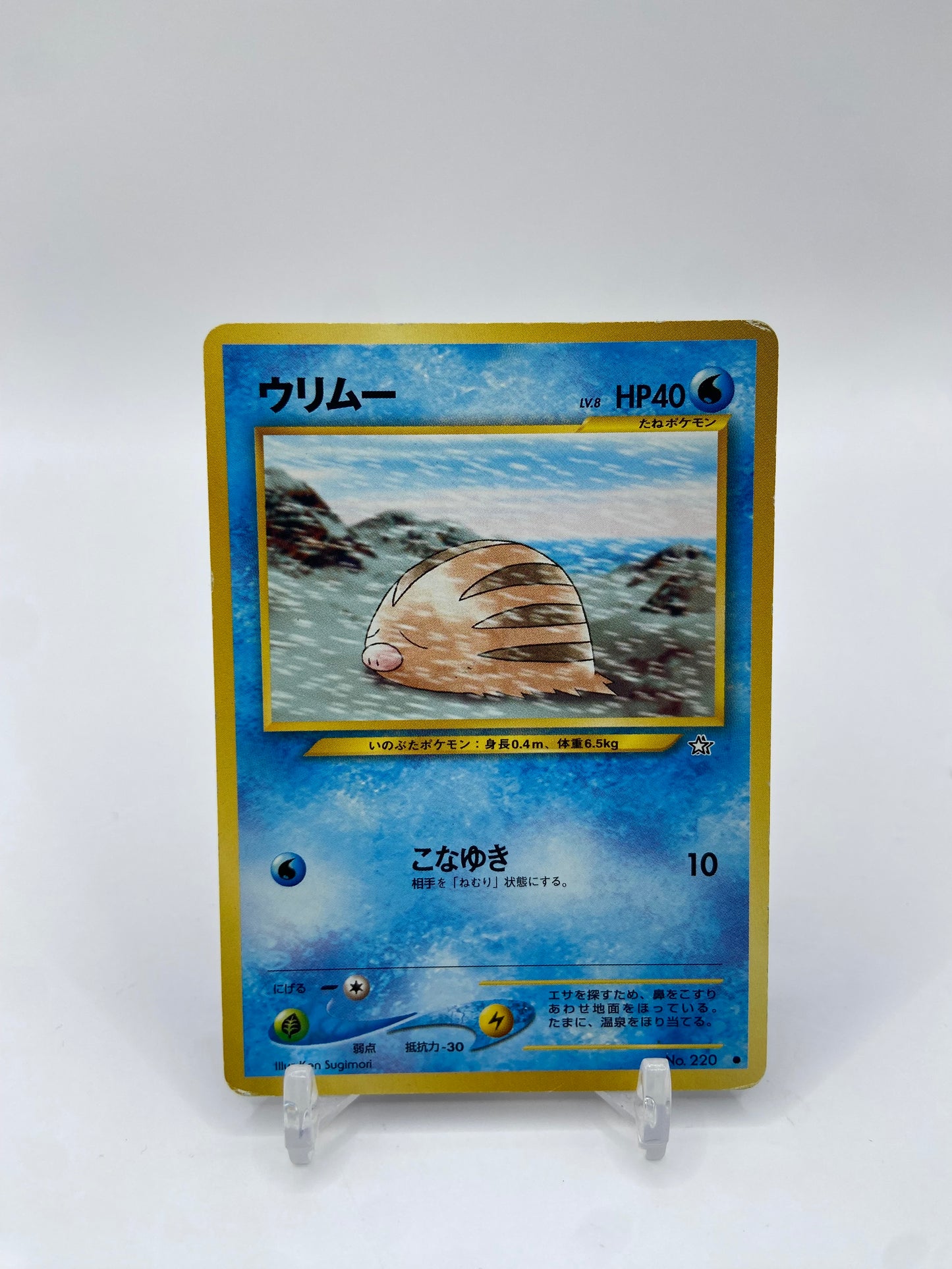 Swinub Neo Genesis Japanese