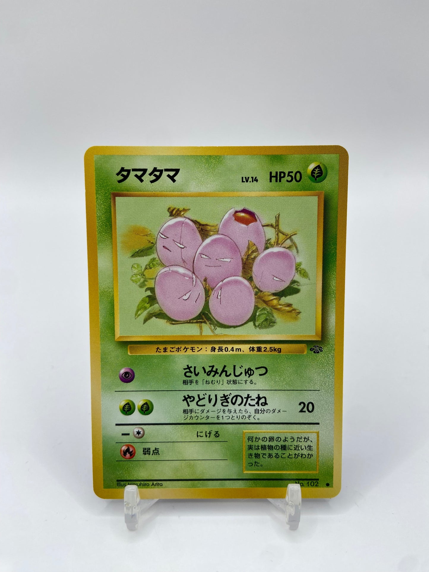 Exeggcute Jungle Set Japanese