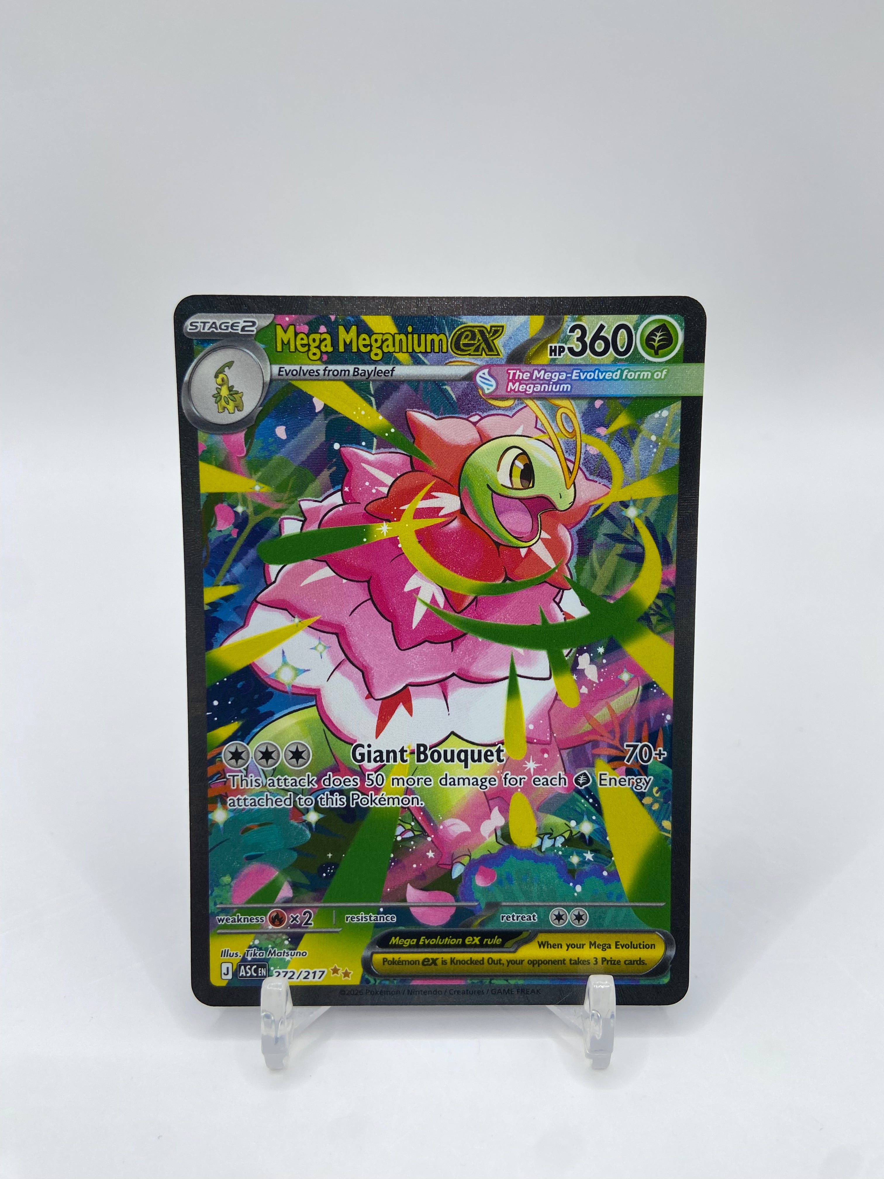 new arrivals – Arcticcollect