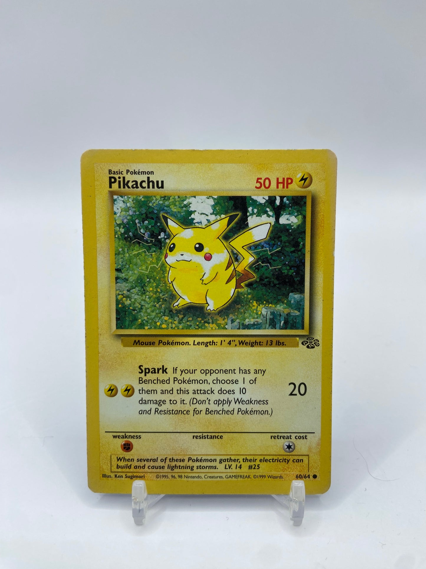 Pikachu Jungle Set 60/64