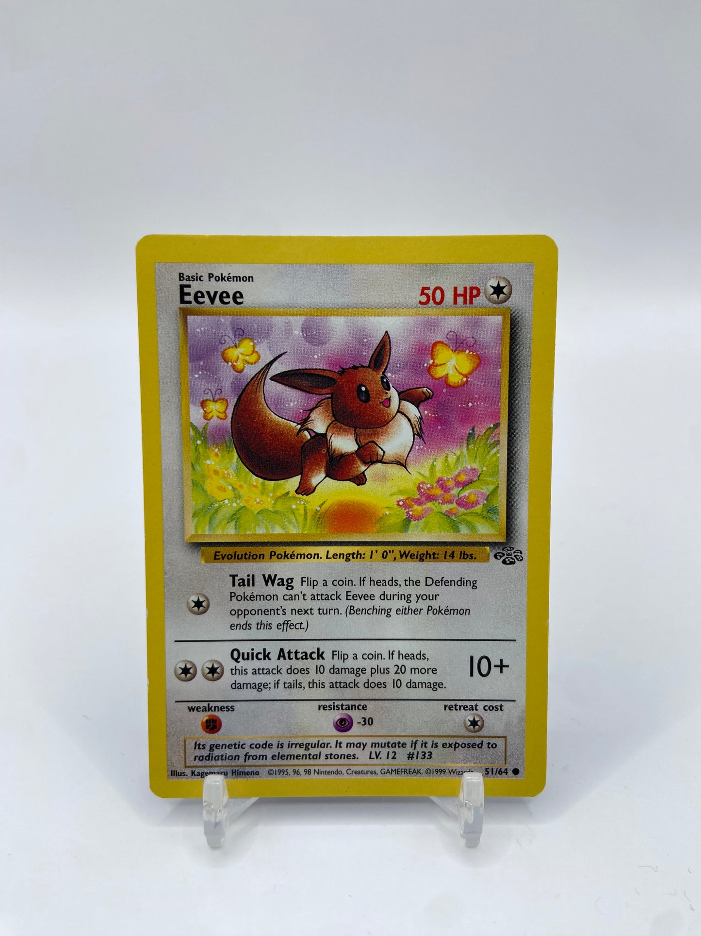 Eevee Jungle Set 51/64