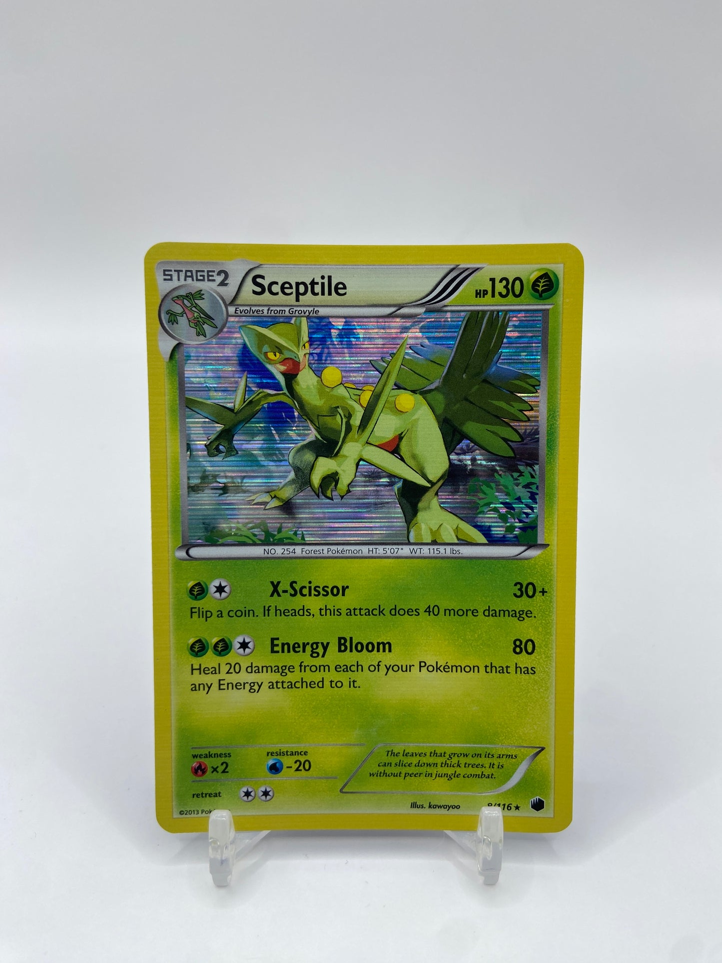 Sceptile Holo Plasma Freeze 8/116