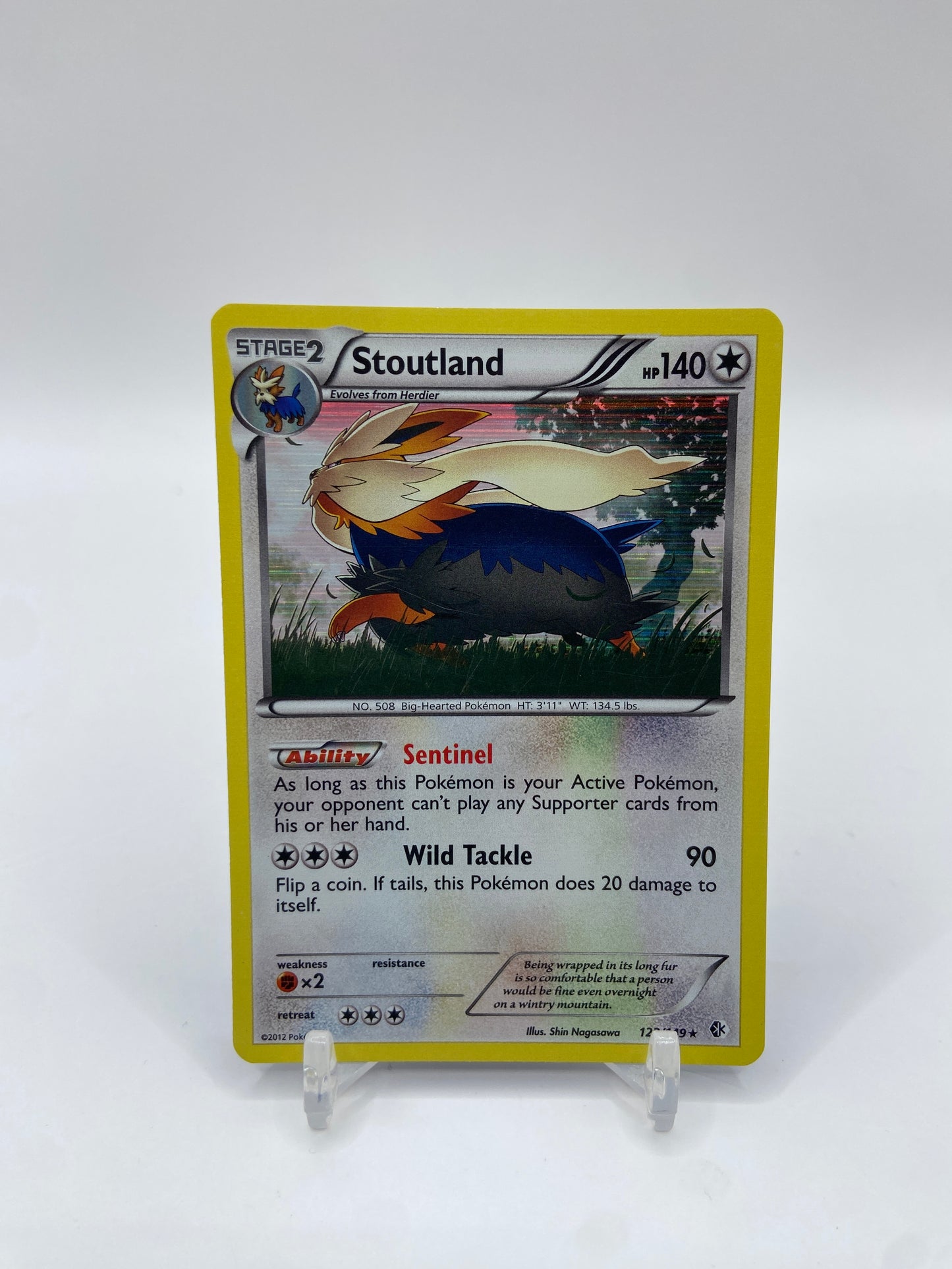 Stoutland Holo Boundaries Crossed 122/149