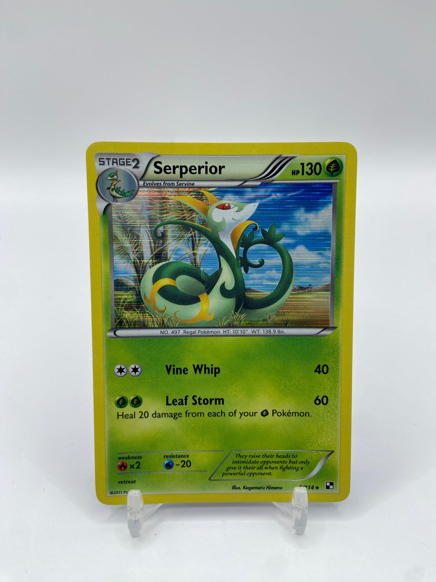 Serperior Holo Black & White Base Set 5/114