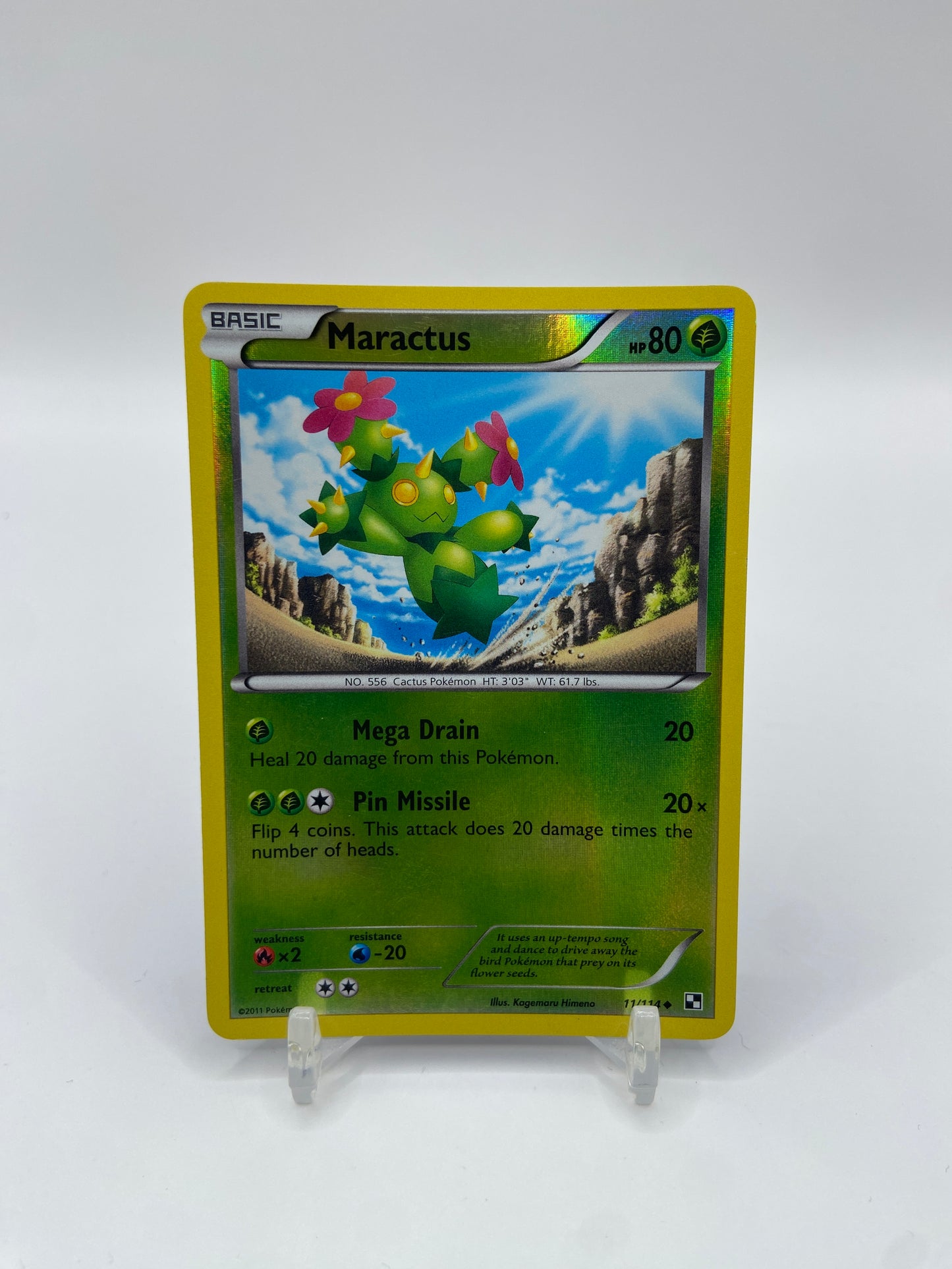 Maractus Reverse Holo Black & White Base Set 11/114