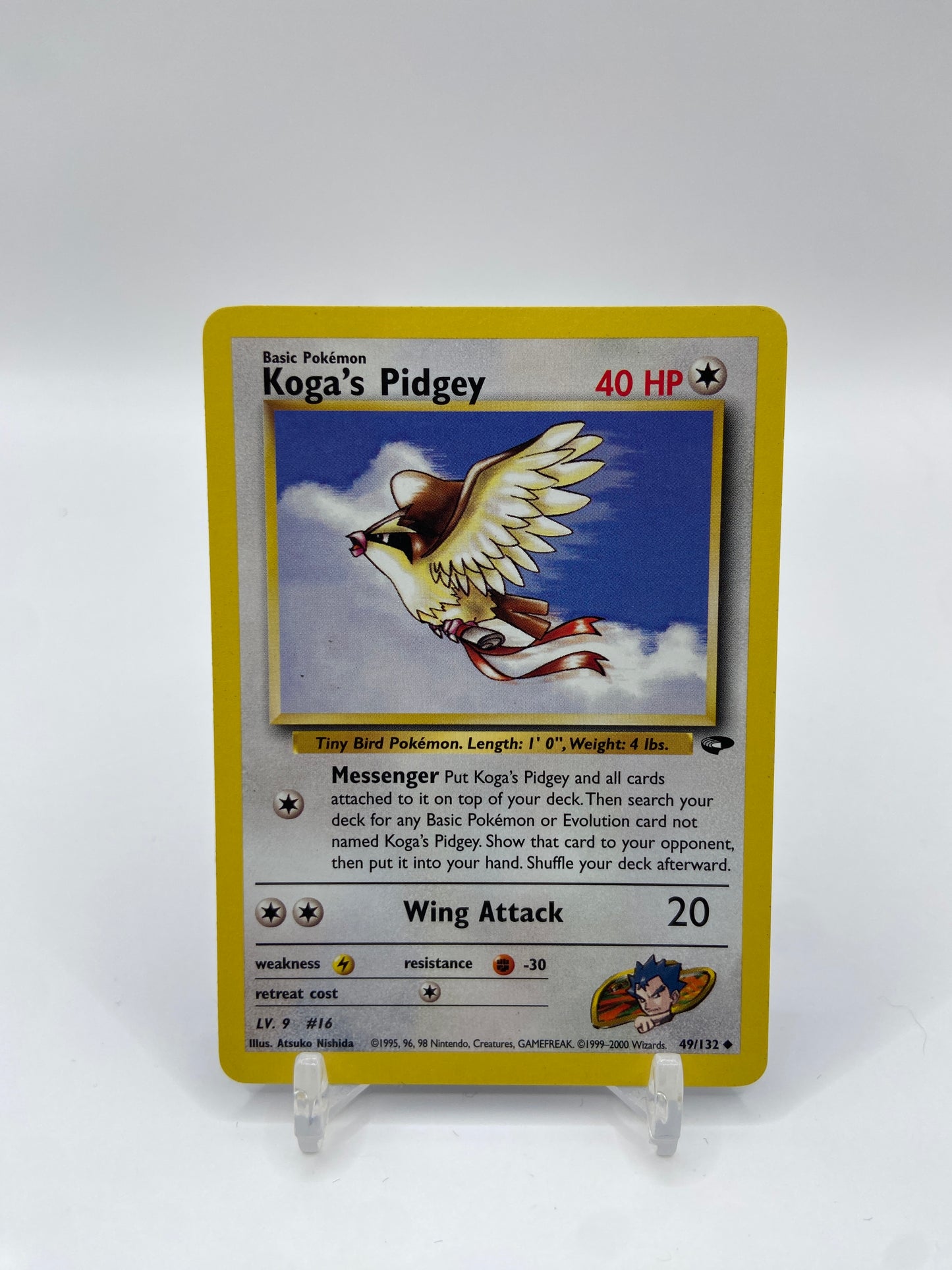 Koga's Pidgey Gym Challenge 49/132