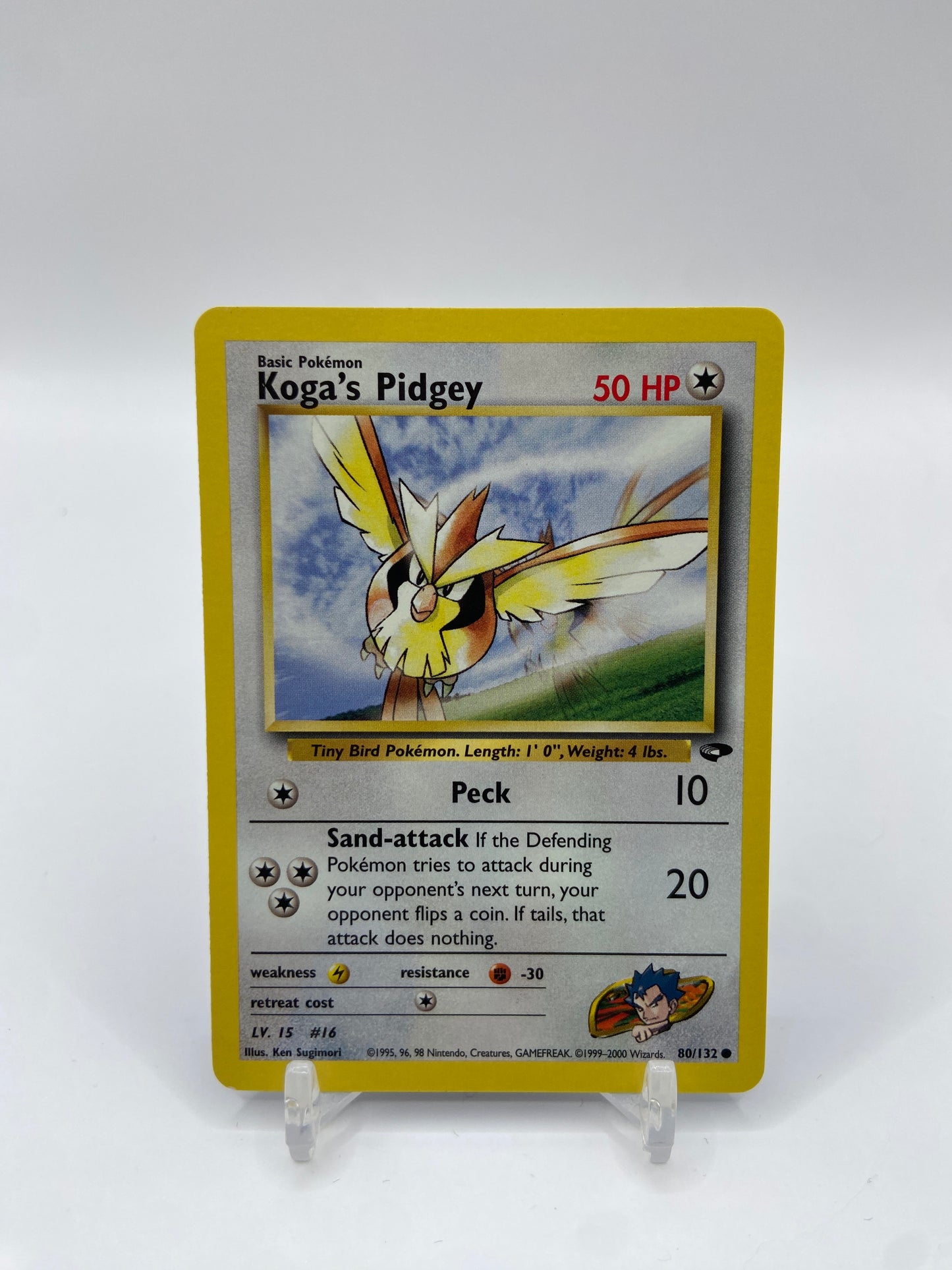 Koga's Pidgey Gym Challenge 80/132