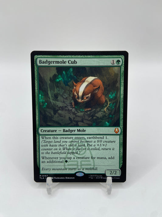 Badgermole Cub Avatar: The Last Airbender M 167