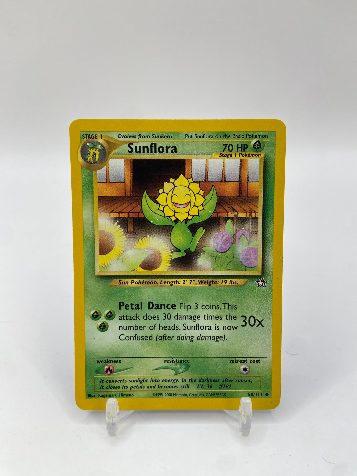 Sunflora Neo Genesis 50/111