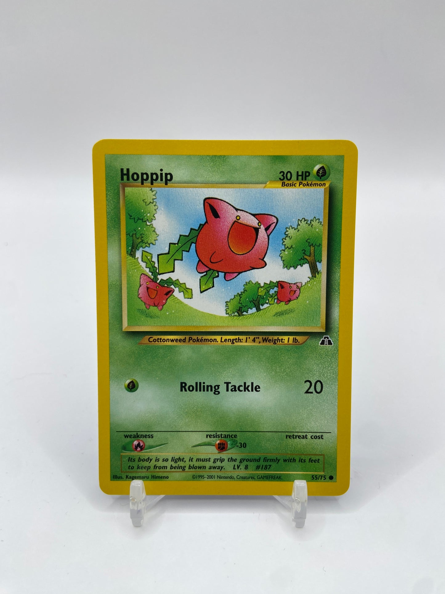 Hoppip Neo Discovery 55/75