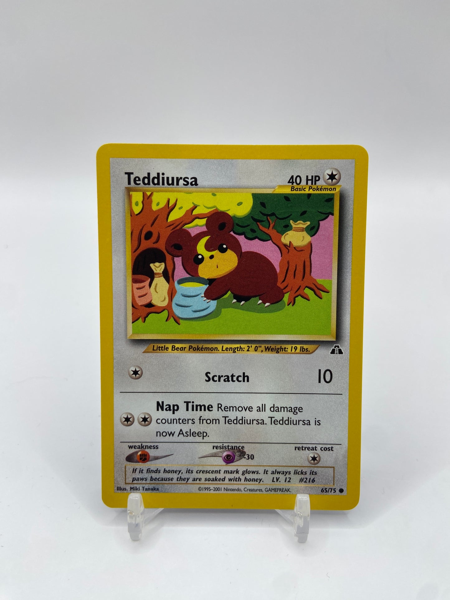 Teddiursa Neo Discovery 65/75