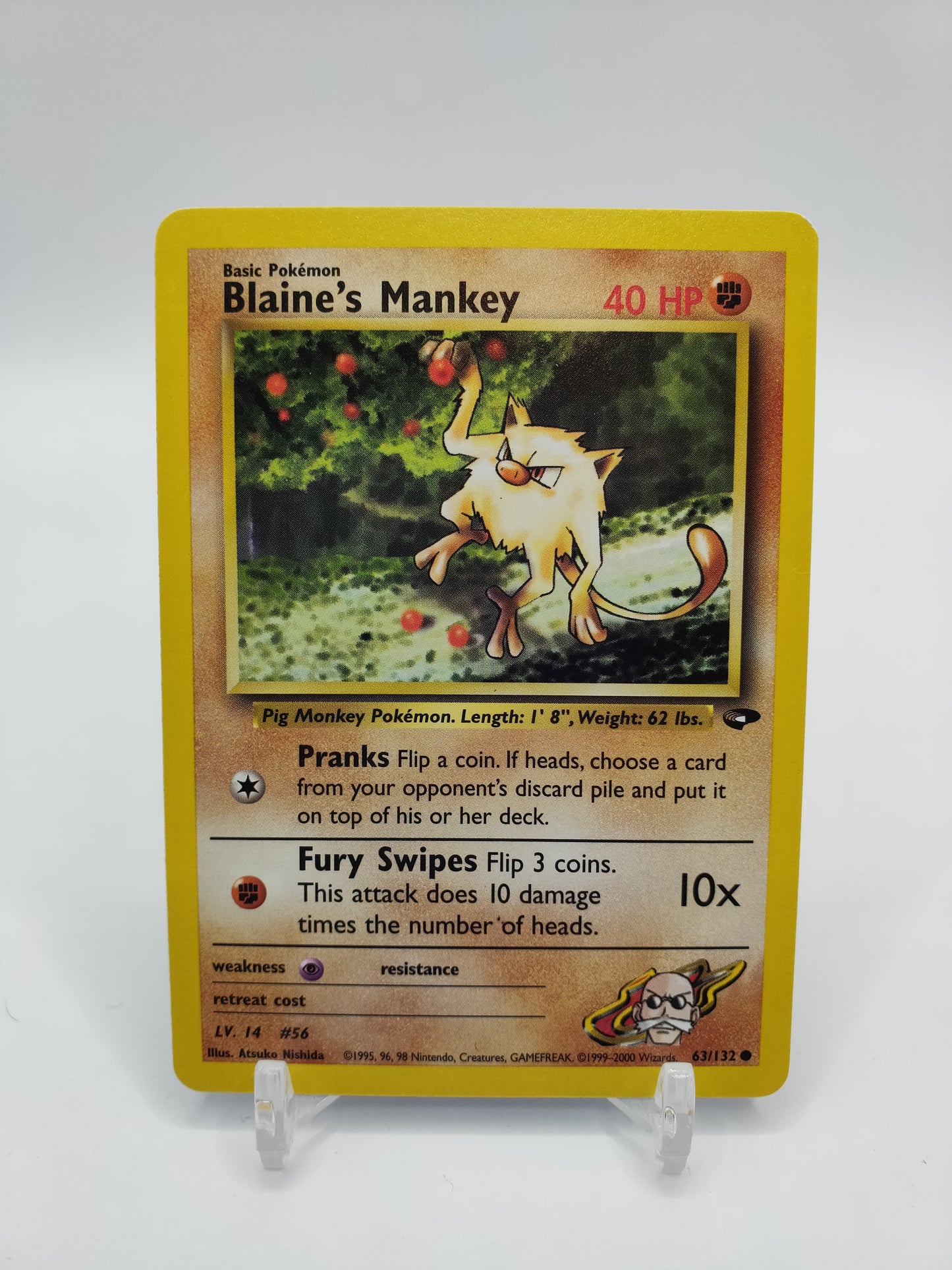 Blaine's Mankey Gym Challenge 63/132