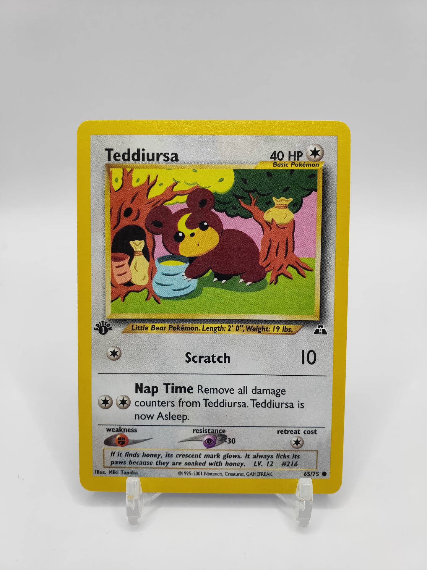 Teddiursa 1st Edition Neo Discovery 65/75